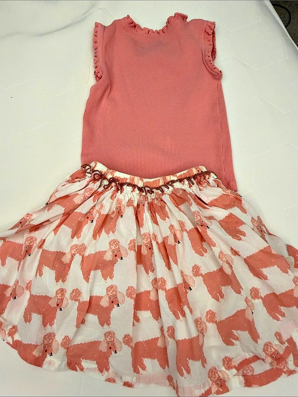 Pink Chicken Gianna Skirt in Pink poodle with matching tank size 6